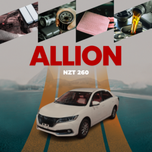 NZT 260 - Allion Service kit